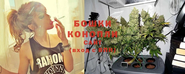 мдпв Рославль