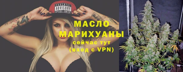 мдпв Рославль