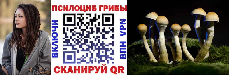 Галлюциногенные грибы Psilocybine cubensis  Петушки 